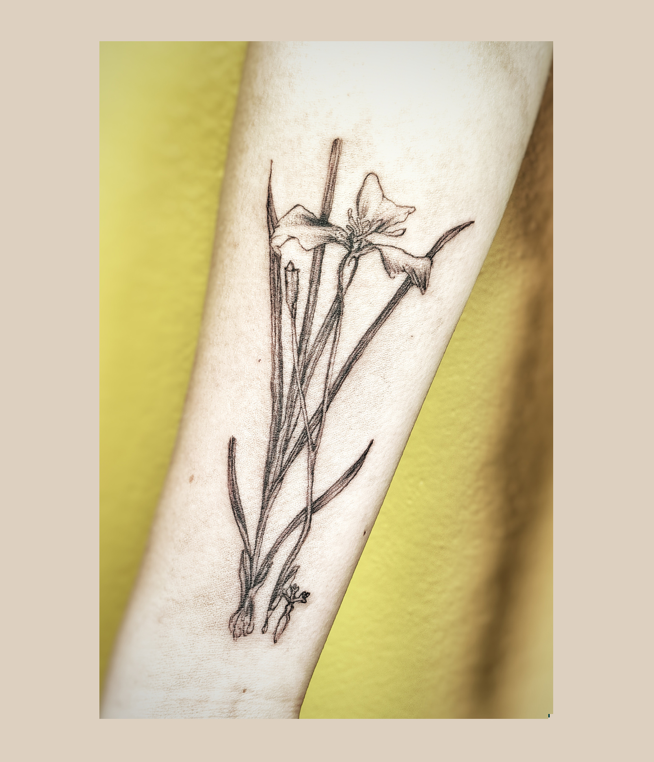 Feines, künstlerisches Tattoo im zarten Stil aus Leipzig